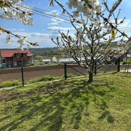 Apartment Sova - Peaceful With Garden