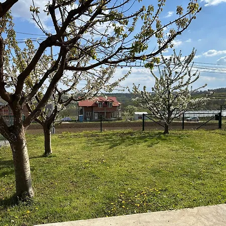 Sova - Peaceful With Garden * Belgrade